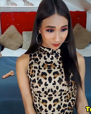 Skinny Asian Shemale Awesome Camshow